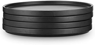 Stone Lain Coupe - Celina Stoneware Round Dinner Plates Set, 4-Piece