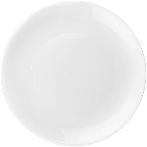Foraineam 6 Pieces Porcelain Dinner Plates Approximate 10 Inch Round