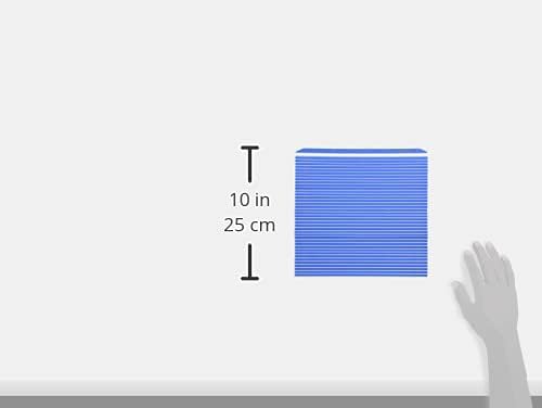 Hasegawa Plastic Sushi Rolling mat, Sushi Cooking mat, Blue Medium