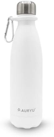in Class Triple-Walled Insulated Stainless Steel Water Bottle, Keeps