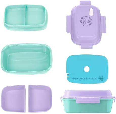 Healthy Packers Bento Box with Ice Pack, Purple/Green