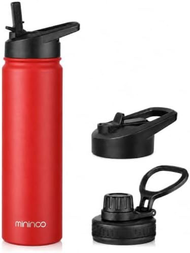 mininoo 24 oz Insulated Water Bottle with Straw Lid, Stainless Steel