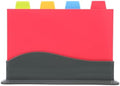 Plastic Cutting Board Set, 4 Color Coded Boards with Stand for Kitchen