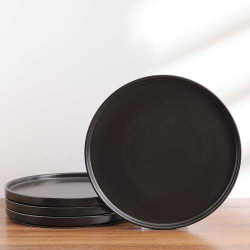 Stone Lain Coupe - Celina Stoneware Round Dinner Plates Set, 4-Piece