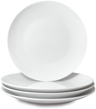 Miicol Ceramic Dinner Plates Set of 4, Large Salad Plate 10.5 inch