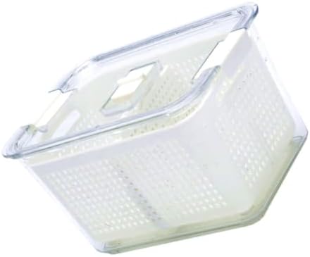Vegetable Drain Crisper Box with Lid, Partitioned Food Storage