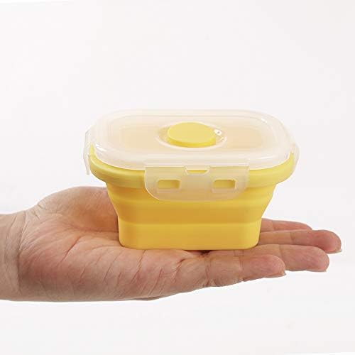 Collapsible Silicone Food Storage Container, Portion Control Lunch
