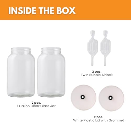2-Pack 1 Gallon Glass Jars with Lids