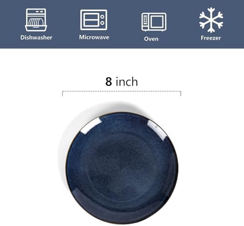 vicrays Ceramic Round Plates Set of 6 - Porcelain 8 inch Dinner Plates