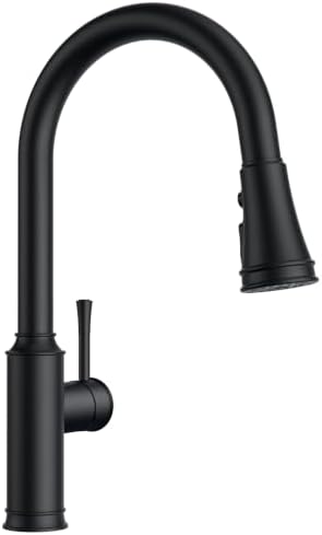 FORIOUS Black Kitchen Faucet with Pull Down Sprayer