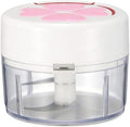 Manual Food Chopper, Hand Pull Garlic Mincer for Onion Ginger Chili