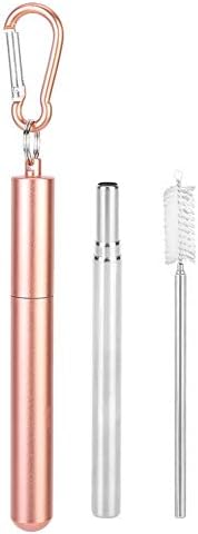 Telescopic Reusable Straw, 304 Stainless Steel 9.1 In