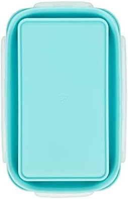 CARTINTS Large Collapsible Camping Food Containers, 1200ml Silicone