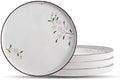 Dinner Plates Ceramic Plate Set - 12" Large Serving Plate Sets - Flat