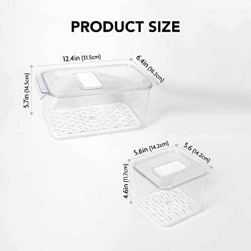 elabo Fridge Fruit Storage Containers, 3 Pack