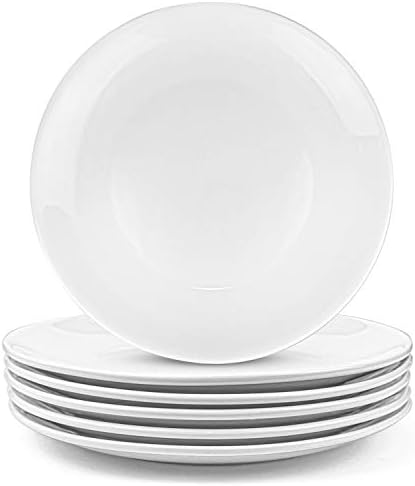 Foraineam 6 Pieces Porcelain Dinner Plates Approximate 10 Inch Round
