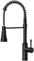 FORIOUS Vintage Kitchen Faucet with Pull-Down Sprayer, Matte Black