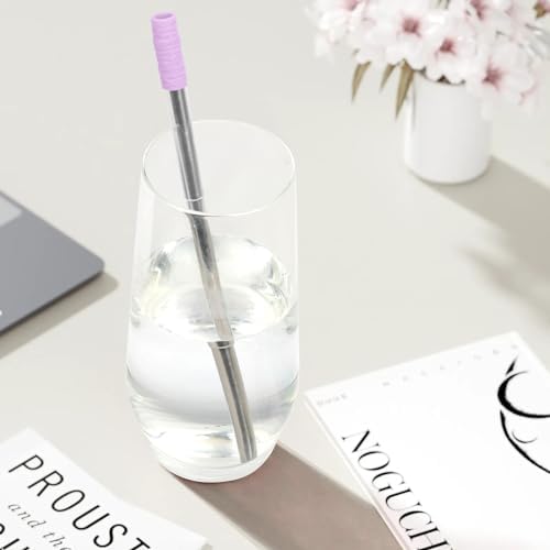 FYY Reusable Straws with Case - 2 Pack Collapsible Travel Straws with
