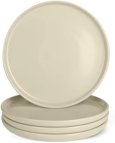 Amazon Basics Glazed Stoneware Dinner Plates, Ceramic 4-Piece Set