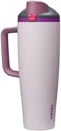 Owala FreeSip Tumbler Stainless Steel Water Bottle 40 oz Dreamy Field