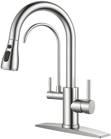 FORIOUS Kitchen Faucet with Purified Water, 2 Handle, Brushed Nickel