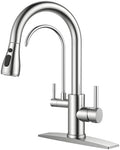 FORIOUS Kitchen Faucet with Purified Water, 2 Handle, Brushed Nickel