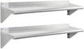 Hally Stainless Steel Wall-Mounted Shelves, 2 Pack, 10"x48"