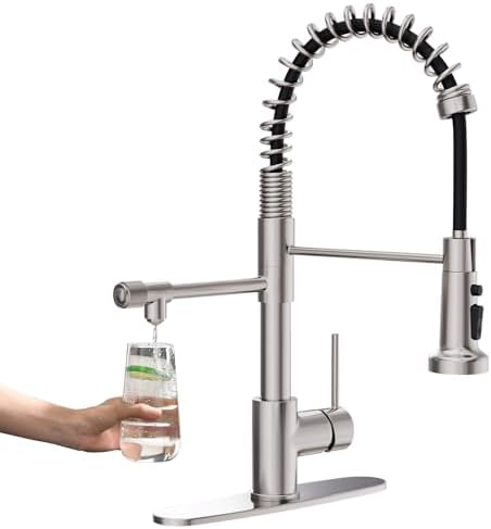 GIMILI 3 in 1 Brushed Nickel Filter Kitchen Faucet