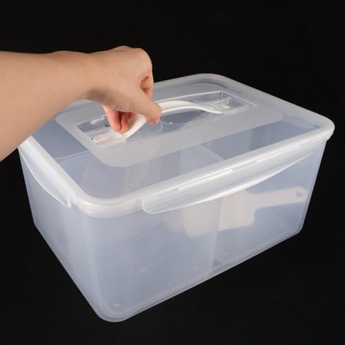 Xmas 4 Compartment Food Container, Plastic Divided Tray for Snacks