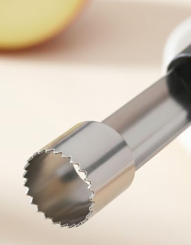 Stainless Steel Apple Corer Tool 4 Pack, Premium Fruit Core Remover