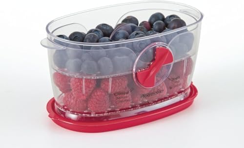 PrepSolutions Red Berry Keeper