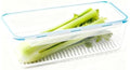 Celery Keeper for Refrigerator, 14 in, 3.5 L