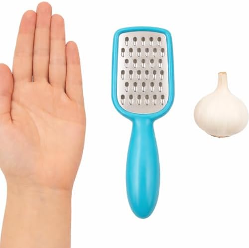 Mini Stainless Steel Grater 5 Inch, Handheld Cheese Garlic Nutmeg