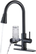 Matte Black Single Handle Kitchen Faucet with Cup Washer