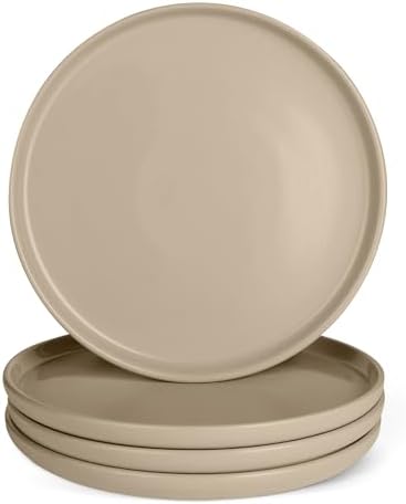 Amazon Basics Glazed Stoneware Dinner Plates, Ceramic 4-Piece Set