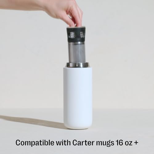 Fellow Carter Tea Infuser for Loose Leaf Tea and Cold Brew - Stone