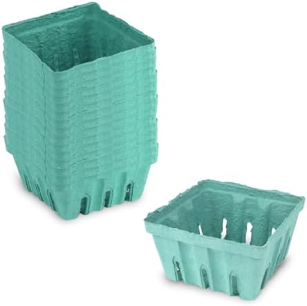 MT Products Green Berry Basket 1 Pint - Molded Pulp Fiber Vented
