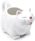 Ceramic Gravy Boat, 23oz Cute Cat Sauce Jug with Smooth Handle