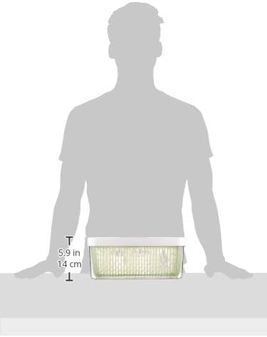 OXO GreenSaver Produce Keeper, Large, Green