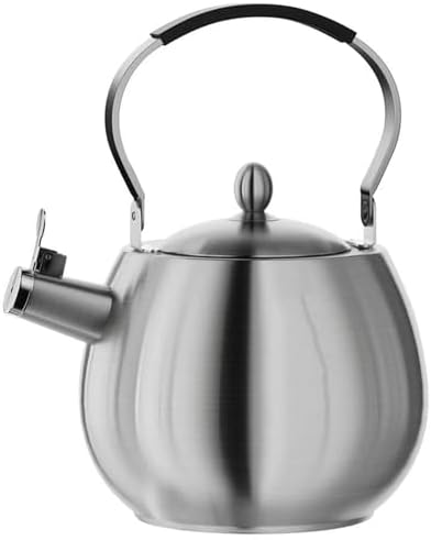4.2 Quart Tea Kettle, 316 Stainless Steel