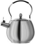 4.2 Quart Tea Kettle, 316 Stainless Steel