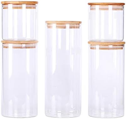 LEAVES AND TREES Y Stackable Kitchen Canisters Set, Pack of 5 Clear