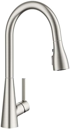 FORIOUS Kitchen Faucet with Pull Down Sprayer, Classic Stainless Steel