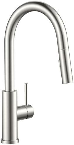 FORIOUS Kitchen Faucet with Pull Down Sprayer