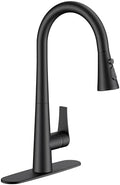 FORIOUS Black Kitchen Faucet with Pull-Down Sprayer