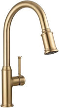 Lava Odoro Champagne Gold Kitchen Faucet with Pull Down Sprayer