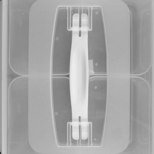 Xmas 4 Compartment Food Container, Plastic Divided Tray for Snacks