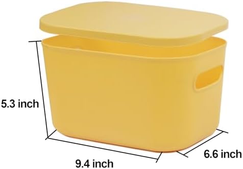 6Pcs Small Storage Bins with Lids, 6 Color