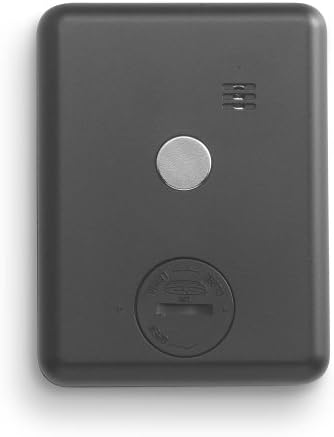 100-MINUTE MINI Timer