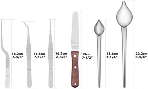 Cridoz 6 Pcs Stainless Steel Kitchen Cooking Tweezers Precision Tongs
